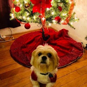 Meet your Posher, Mary